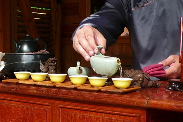 種の水やりで発芽率UP！プロも実践する正しい方法